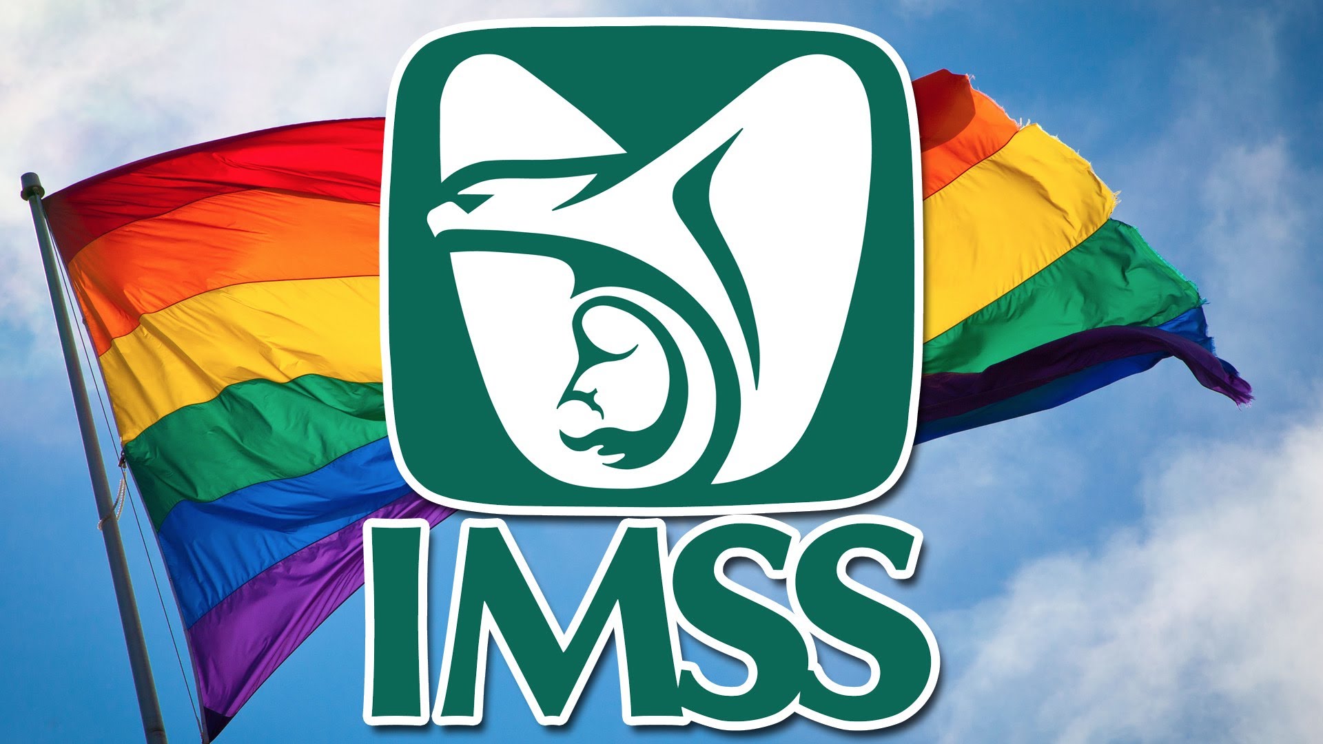 IMSS LGBT