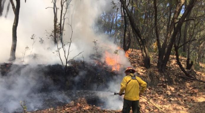 bomberos partidero jalisco bosque la primavera incendio estiaje