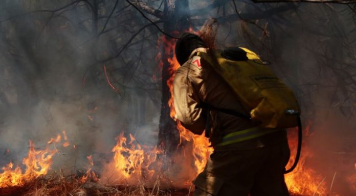 veda incendio La Primavera incendios jalisco alfaro