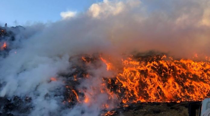 incendios-incendio los laureles vertedero partidero