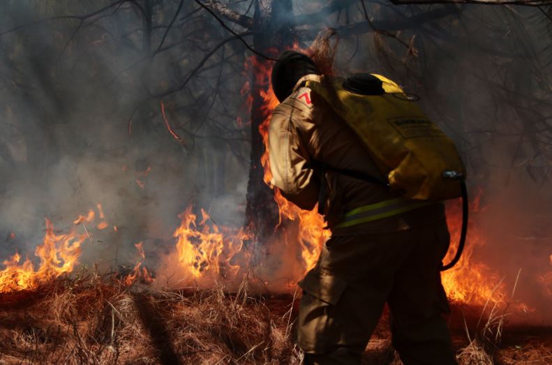 Incendio en La Primavera extinguido al 85%