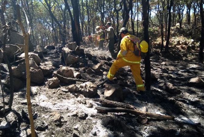 Más de mil hectáreas afectadas por incendio en La Primavera