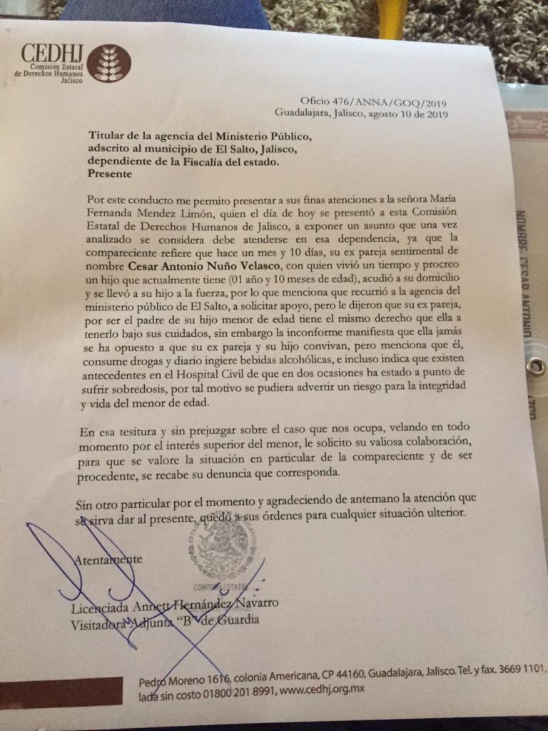 CEDHJ El Salto Ministerio Público Partidero Josefina Real