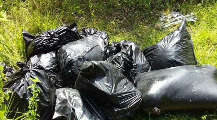 partidero jalisco fundej crisis forense la primavera zapopan bolsas restos humanos cadáveres
