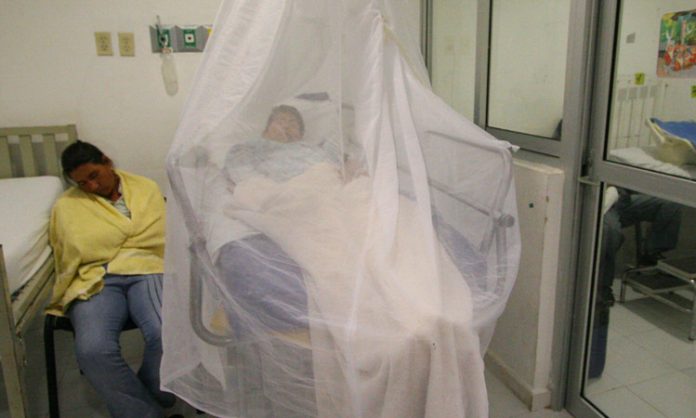 Jalisco dengue casos máximo 2009 partidero