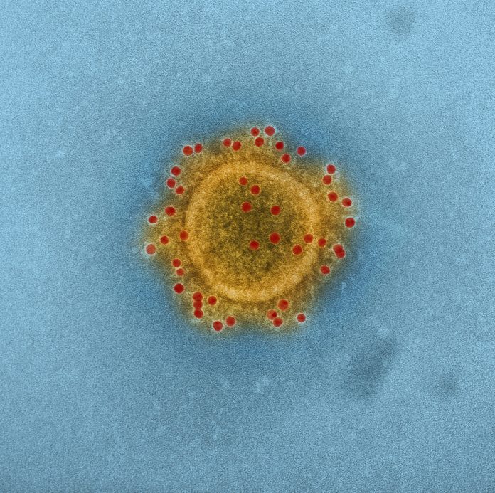 Coronavirus-OMS-covid-19