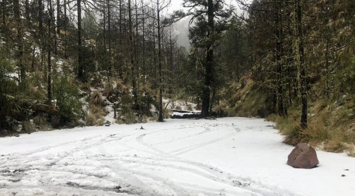 nevado de colima-nieve-partidero-montaña blanca