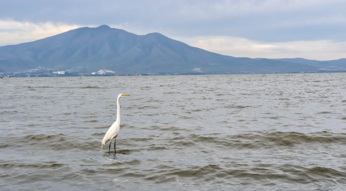 chapala-conagua-enrique-lluvias-partidero