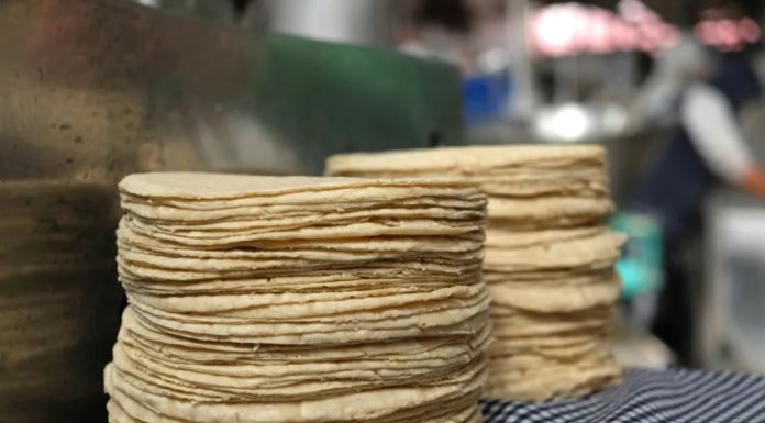 tortilla-kilo-maíz-partidero-amlo