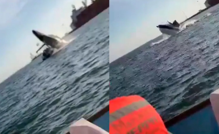 Video: Ballena cae sobre una embarcación