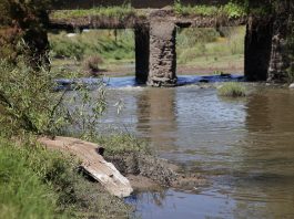 RÍO SANTIAGO PARTIDERO JALISCO SANEAMIENTO EL AHOGADO