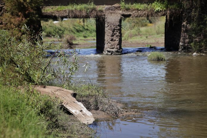 RÍO SANTIAGO PARTIDERO JALISCO SANEAMIENTO EL AHOGADO