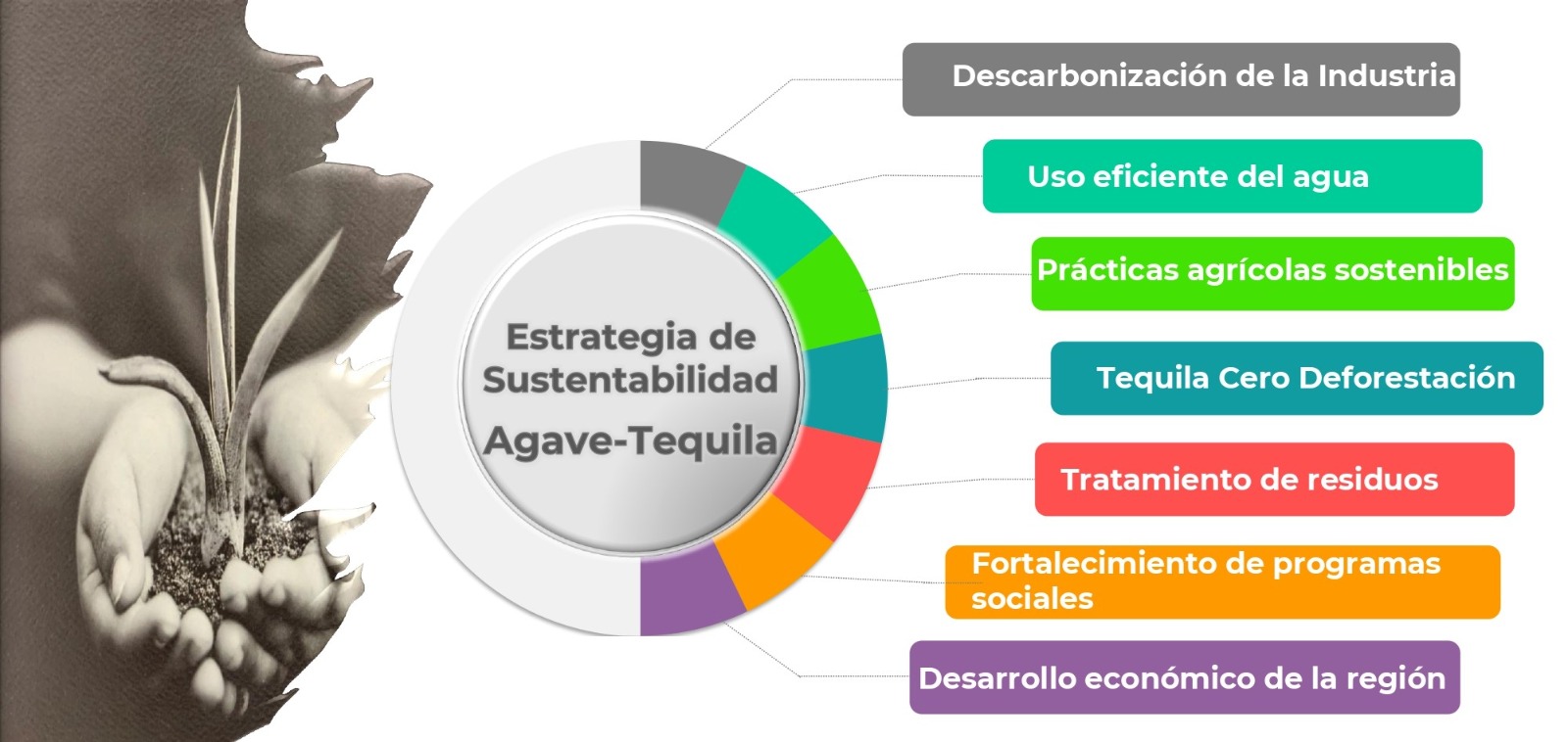 CRT TEQUILA SOSTENIBILIDAD PARTIDERO