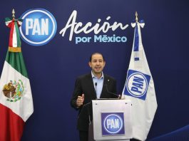 pan, partido acción nacional, elecciones, marko cortés