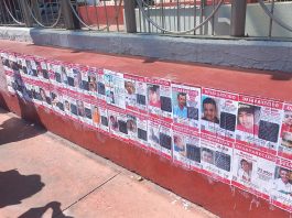 desaparecidos, partidero, jalisco, reporte, cjng