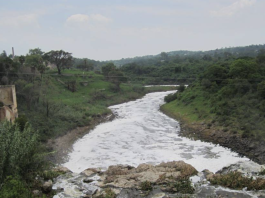 partidero, jalisco, juanacatlán