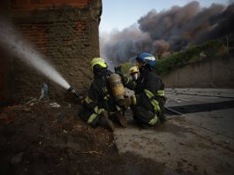 incendio, partidero, álamo industrial
