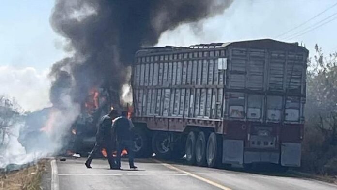 michoacán, bloqueos