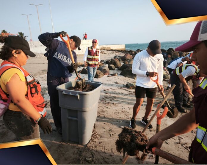 derrame de petróleo en el golfo de méxico