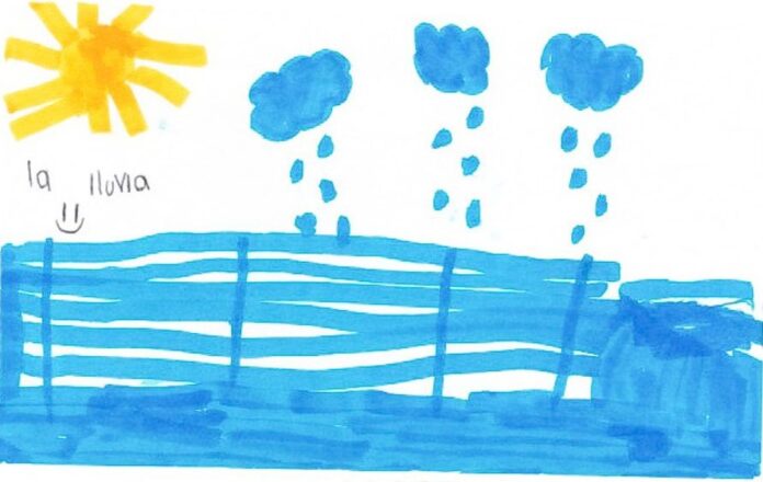 Dibujo: Cortesía de Proyecto Tlal-xoxo-wia.