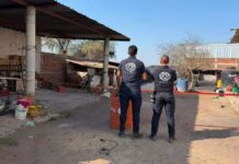 Nace nuevo géiser en Ixtlán, Michoacán, durante la noche del lunes