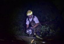 Lluvia deja inundaciones, vehículos dañados y árboles caídos en Guadalajara y Tlaquepaque