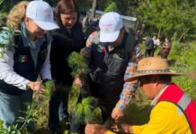 Arranca la Jornada Nacional de Reforestación 2026