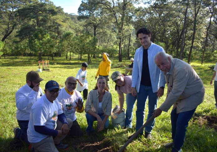 Jornada de Reforestación 7