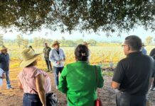 U.S. Congressional delegation holds strategic summit with tequila industry in Jalisco U.S. Congressional delegation holds strategic summit with tequila industry in Jalisco