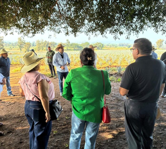 Recorrido en campo U.S. Congressional delegation holds strategic summit with tequila industry in Jalisco