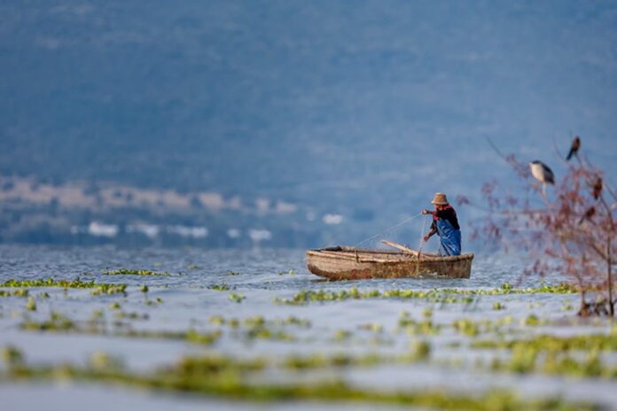agua_de_chapala_contaminada