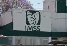 Incertidumbre y alerta por revés a la Modalidad 40 del IMSS imms, la modalidad 40 desapareció