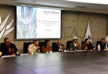 El gobierno federal y la agroindustria tequilera pactan plan de acción para frenar crisis en el campo agavero