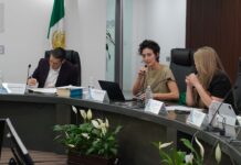 El IEPC avala a Paz y SOMOS para competir en las elecciones de Jalisco en 2027