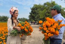 Tlaquepaque destina 50 hectáreas al cultivo de cempasúchil para el Día de Muertos
