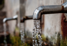 Respalda UdeG colaboración entre la Federación y Jalisco para solucionar suministro de agua agau udeg, partidero, karla planter